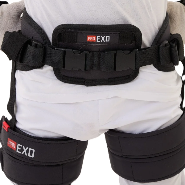 Пластина набрюшная